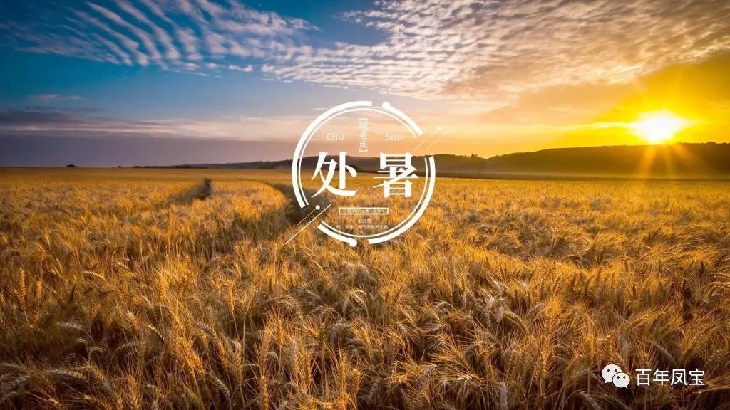 011111.jpg 011111.jpg